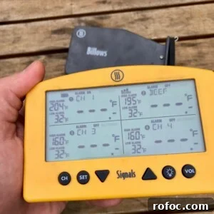 Thermoworks Billows Temperature Controller Review & Setup Guide 5 thermoworks signals