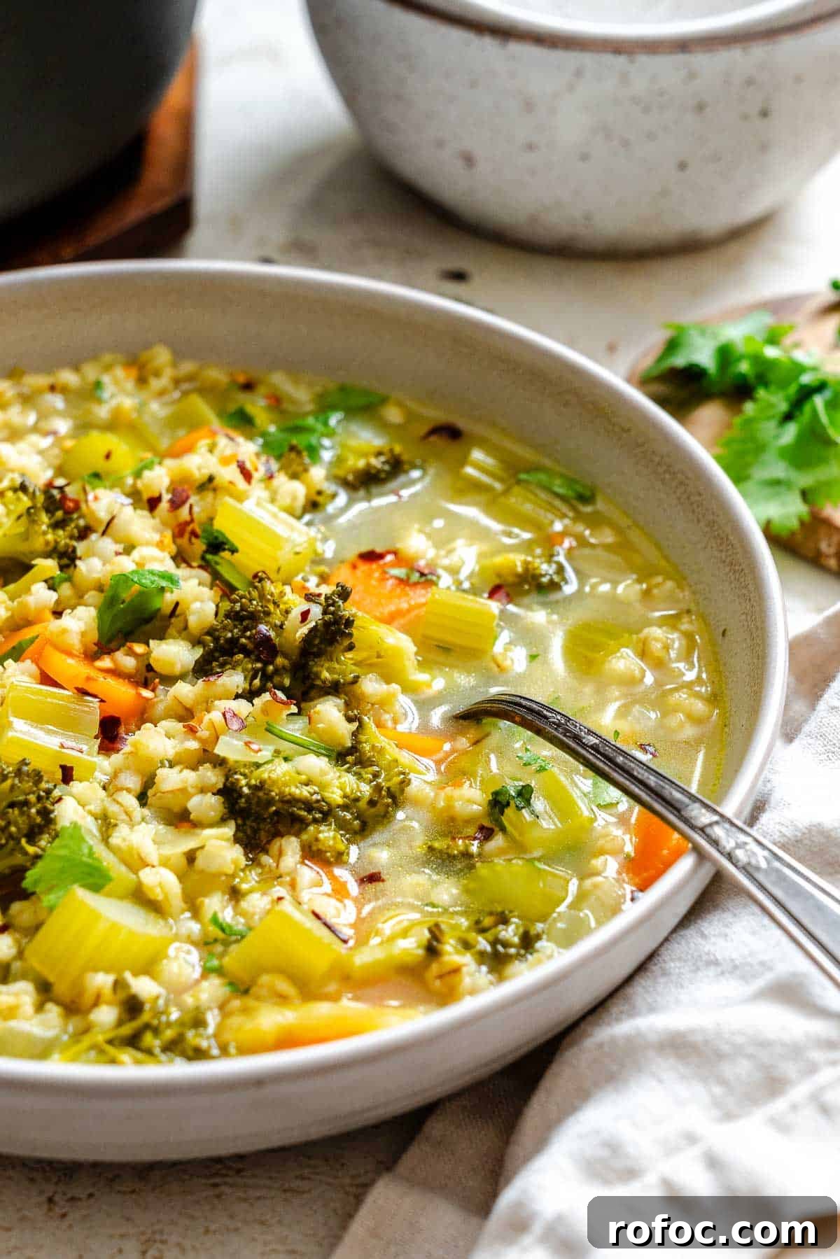 Hearty Vegetable and Barley Soup Recipe for Cozy Meals 7 Completed Vegetable Barley Soup in a bowl.