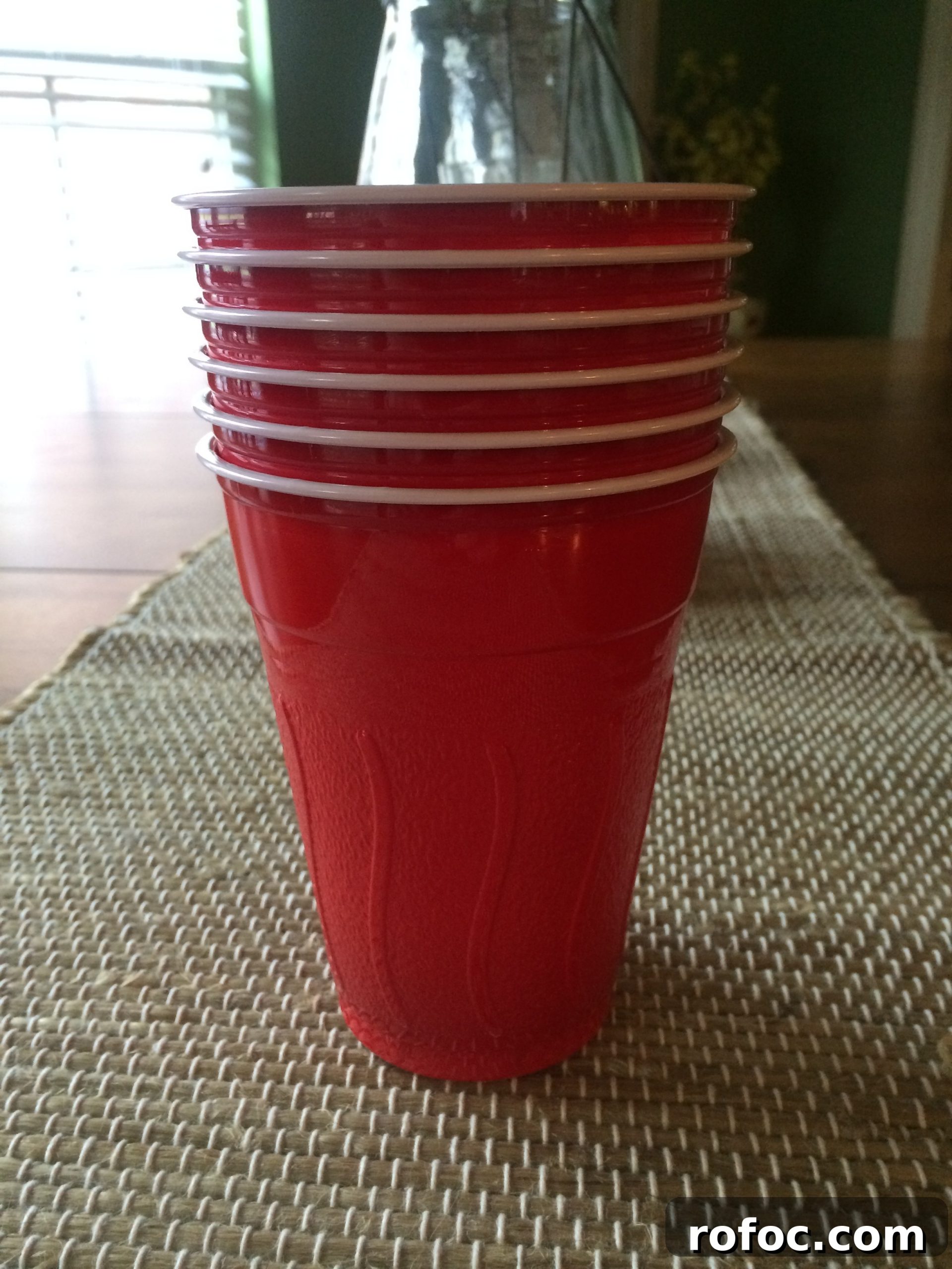 8 Rules of the Puke Club: How to Prevent Stomach Viruses 4 Ways to combat the stomach bug use red solo cups