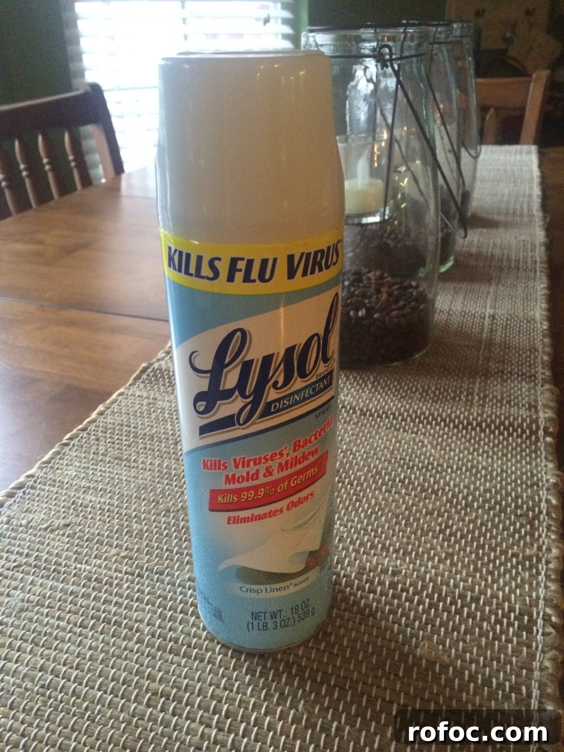 8 Rules of the Puke Club: How to Prevent Stomach Viruses 5 Ways to combat the stomach bug use Lysol