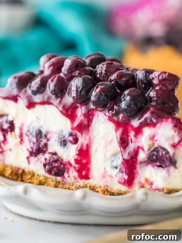 Graham Cracker Crust Recipe: Simple Steps for Perfect Pie Crust 13 slice of blueberry cheesecake topped with blueberry topping