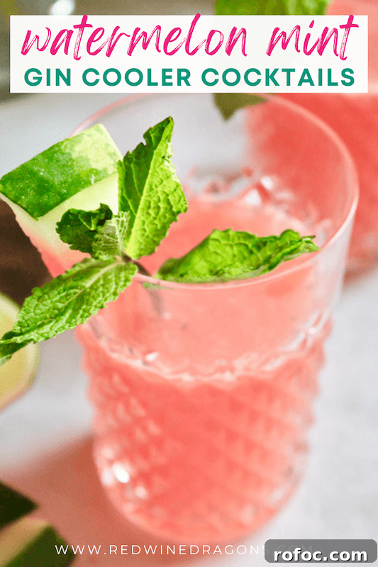 Watermelon Gin Cocktails for Summer Parties 2 fresh watermelon summer gin cocktails