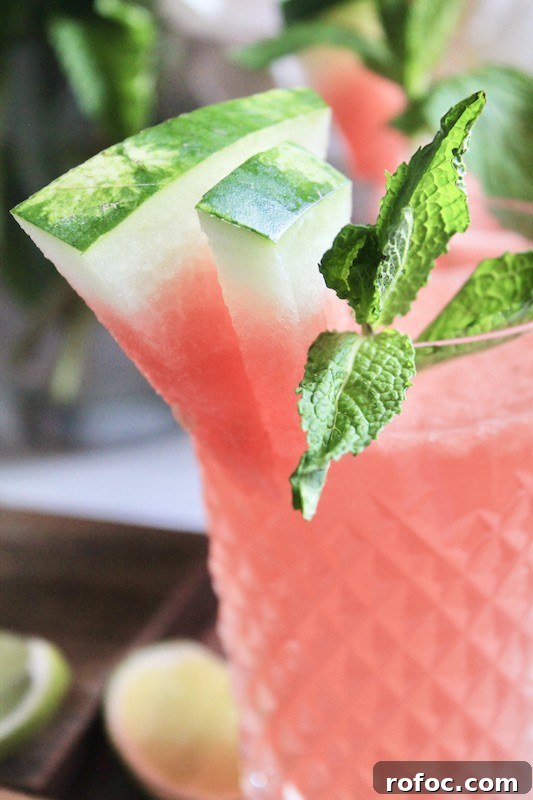 Watermelon Gin Cocktails for Summer Parties 11 watermelon mint gin coolers