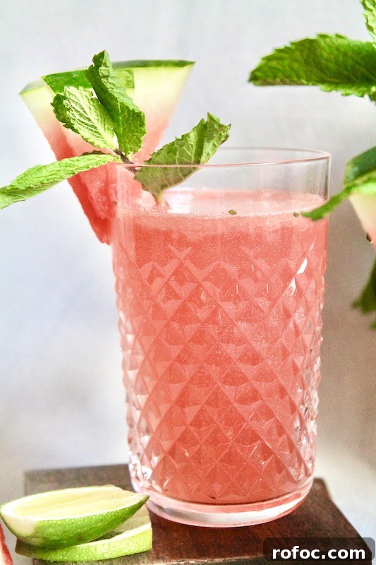 Watermelon Gin Cocktails for Summer Parties 12 watermelon gin cocktail