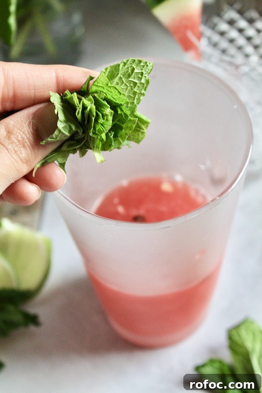Watermelon Gin Cocktails for Summer Parties 7 mint watermelon cocktail