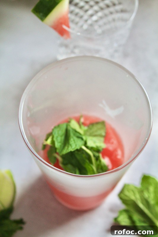 Watermelon Gin Cocktails for Summer Parties 8 add mint to gin cocktail