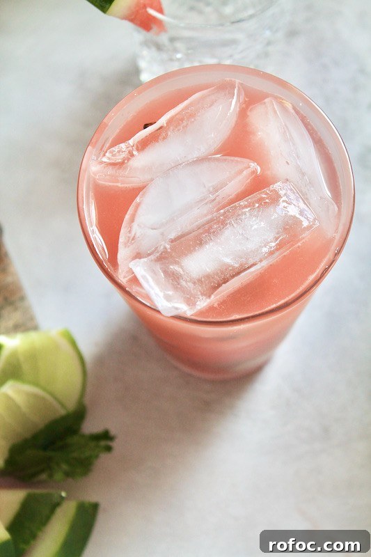Watermelon Gin Cocktails for Summer Parties 9 summer watermelon drinks