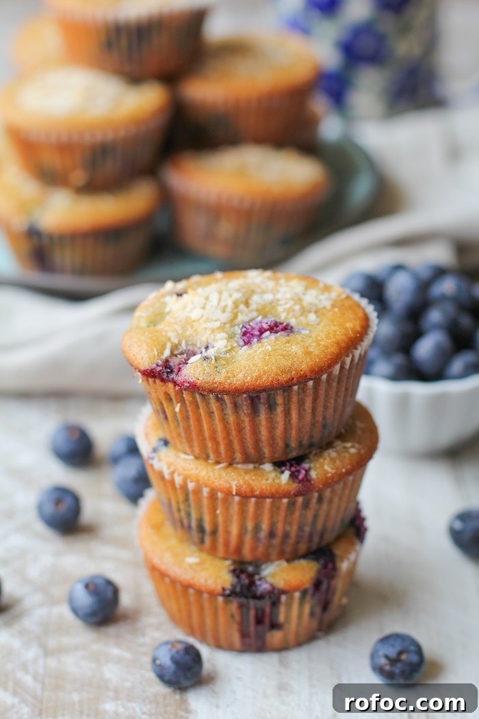 Paleo Blueberry Muffins - grain-free, refined sugar free, dairy free - made with coconut flour, tapioca flour, and honey
