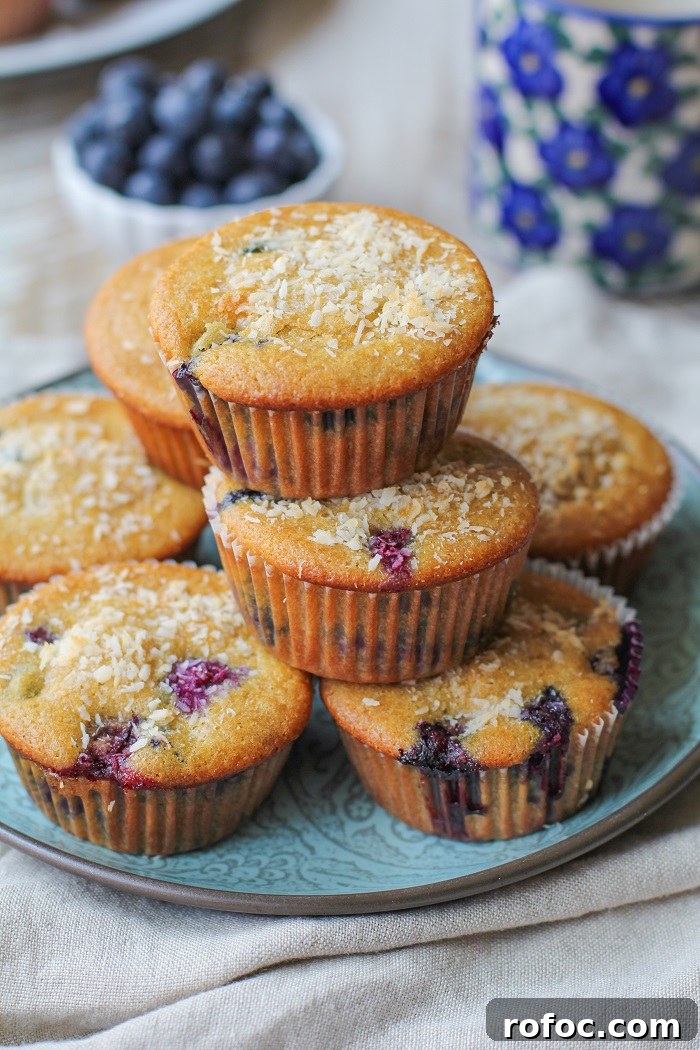 Paleo Blueberry Muffins - grain-free, refined sugar free, dairy free