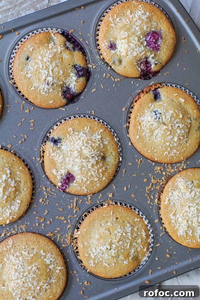 Paleo Blueberry Muffins - grain-free, refined sugar free, dairy free