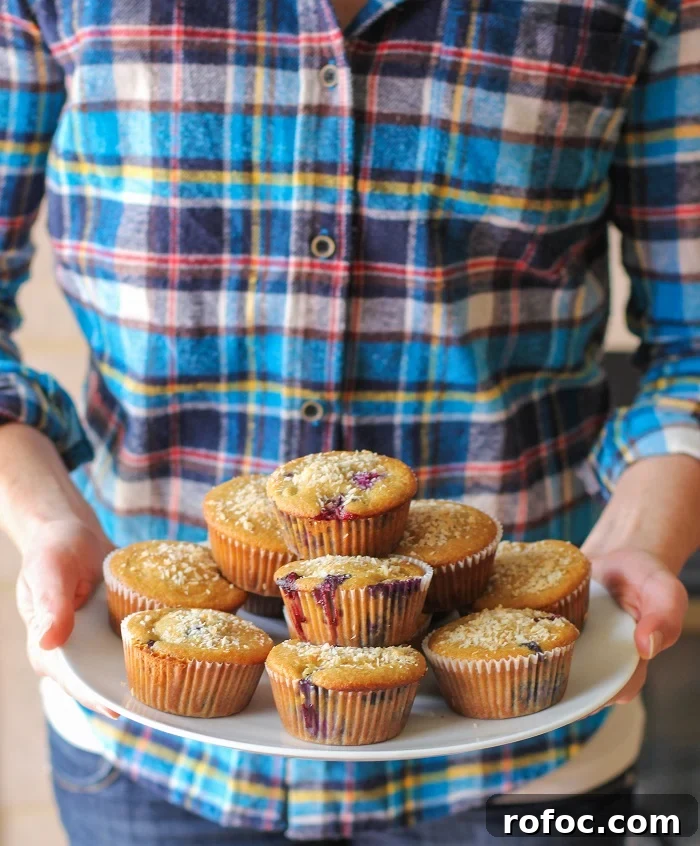 Paleo Blueberry Muffins - grain-free, refined sugar free, dairy free