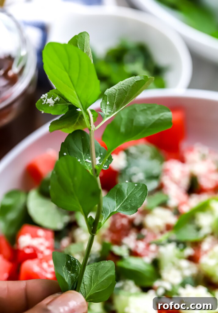 Refreshing Watermelon, Cucumber and Basil Salad 6 A spring of fresh lemon basil.