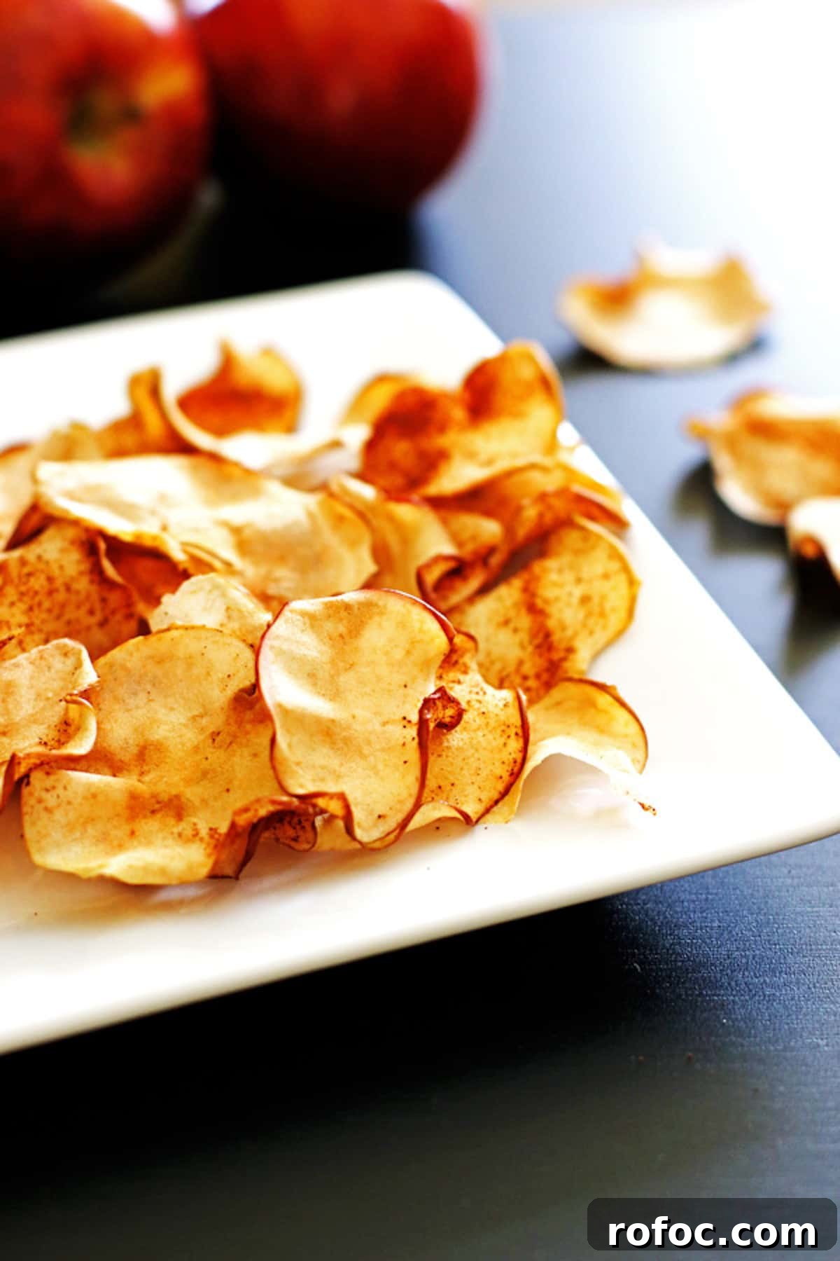 A white plate with crispy baked cinnamon apple chips on it.