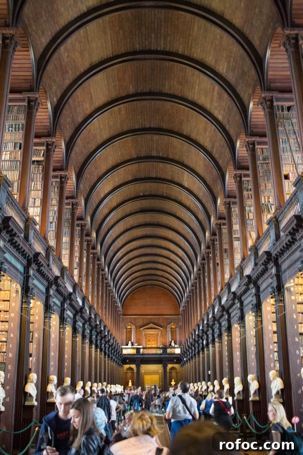Top Attractions and Things to Do in Dublin, Ireland 11 img 22826 12