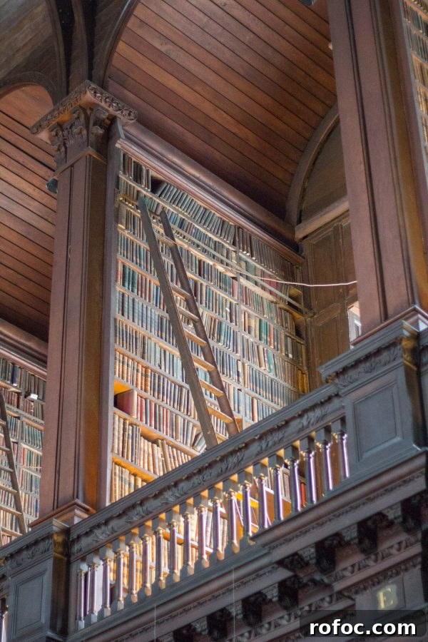 Top Attractions and Things to Do in Dublin, Ireland 12 img 22826 13