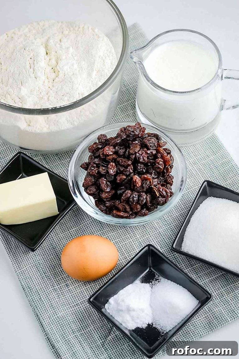 ingredients needed to make soda bread: flour, sugar, buttermilk, butter, egg, baking soda, and salt