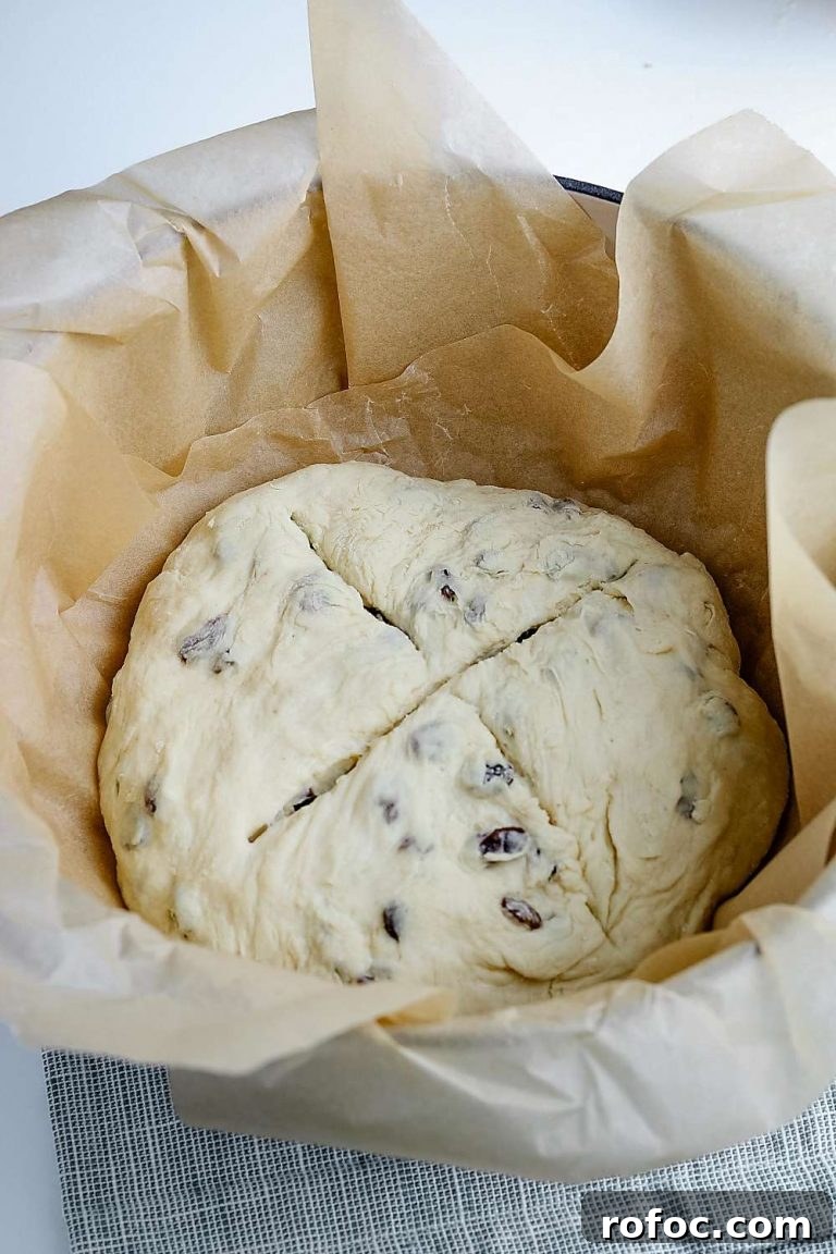shaping the loaf