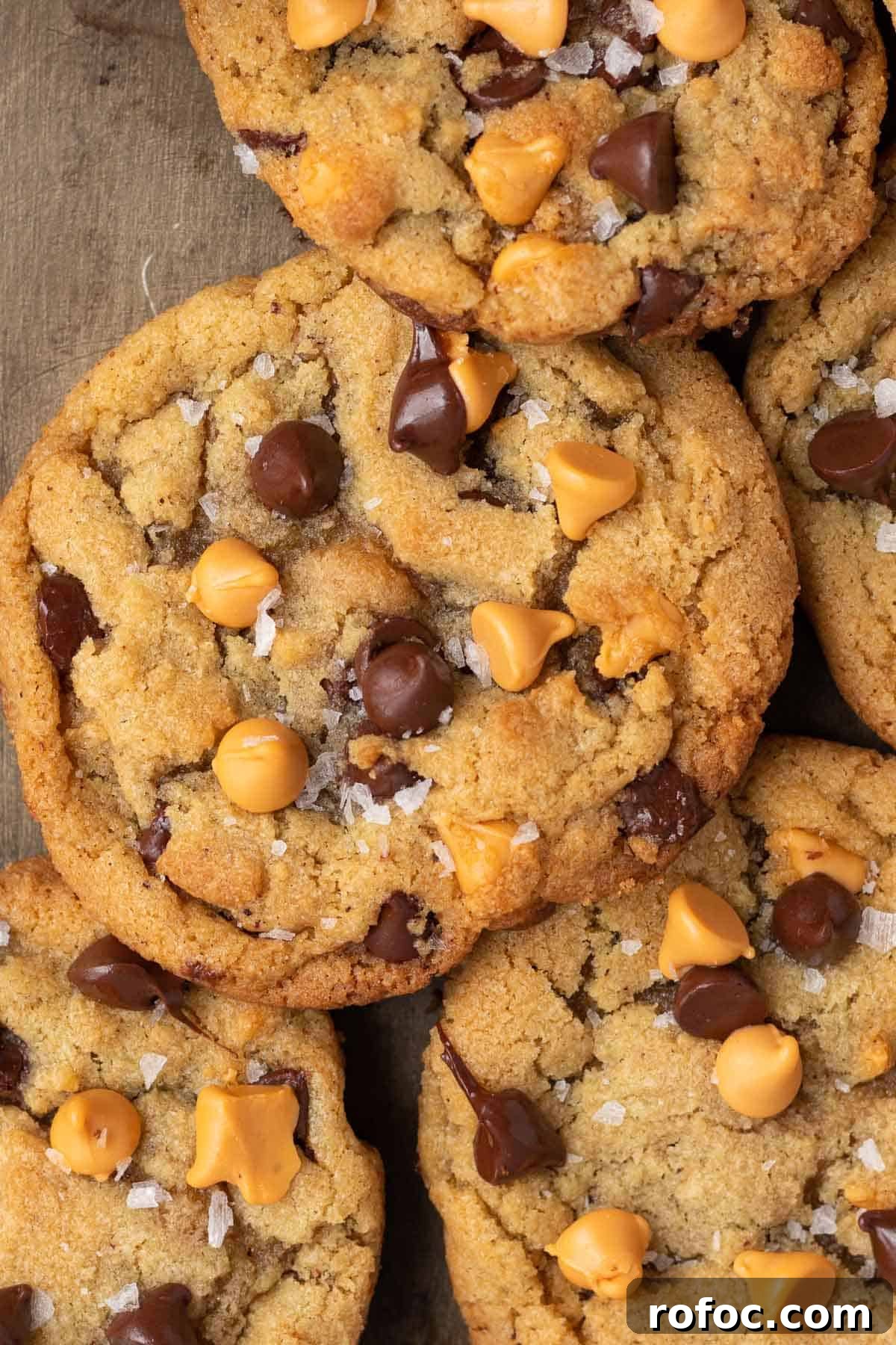 Close up of a chocolate chip butterscotch cookie with sprinkles of sea salt on top
