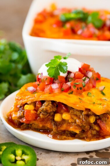 A plate of Mexican casserole with layers of meat, tortillas and cheese.