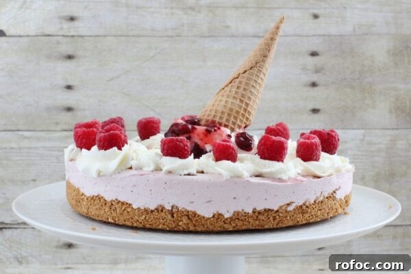 9 No-Bake Summer Desserts to Beat the Heat 8 img 6003 7