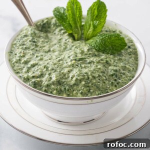 Mint sauce in a serving dish.