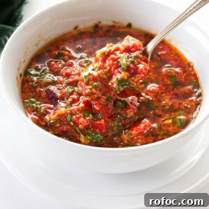 A spoonful of red chimichurri.