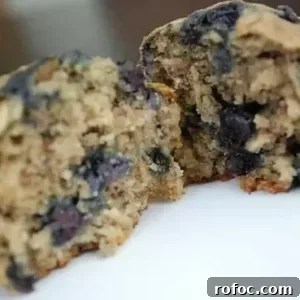 blueberry oatmeal muffins