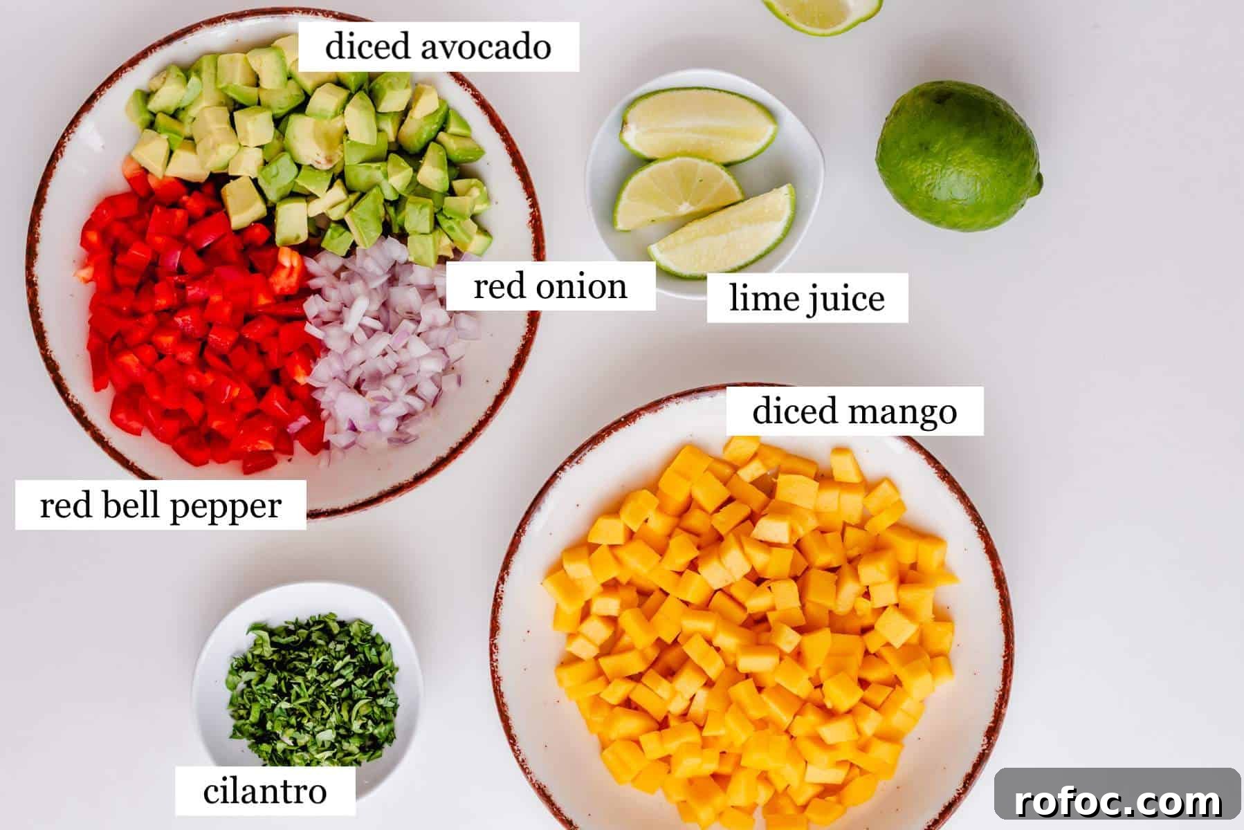 The ingredients in mango avocado salsa - laid out and labeled.