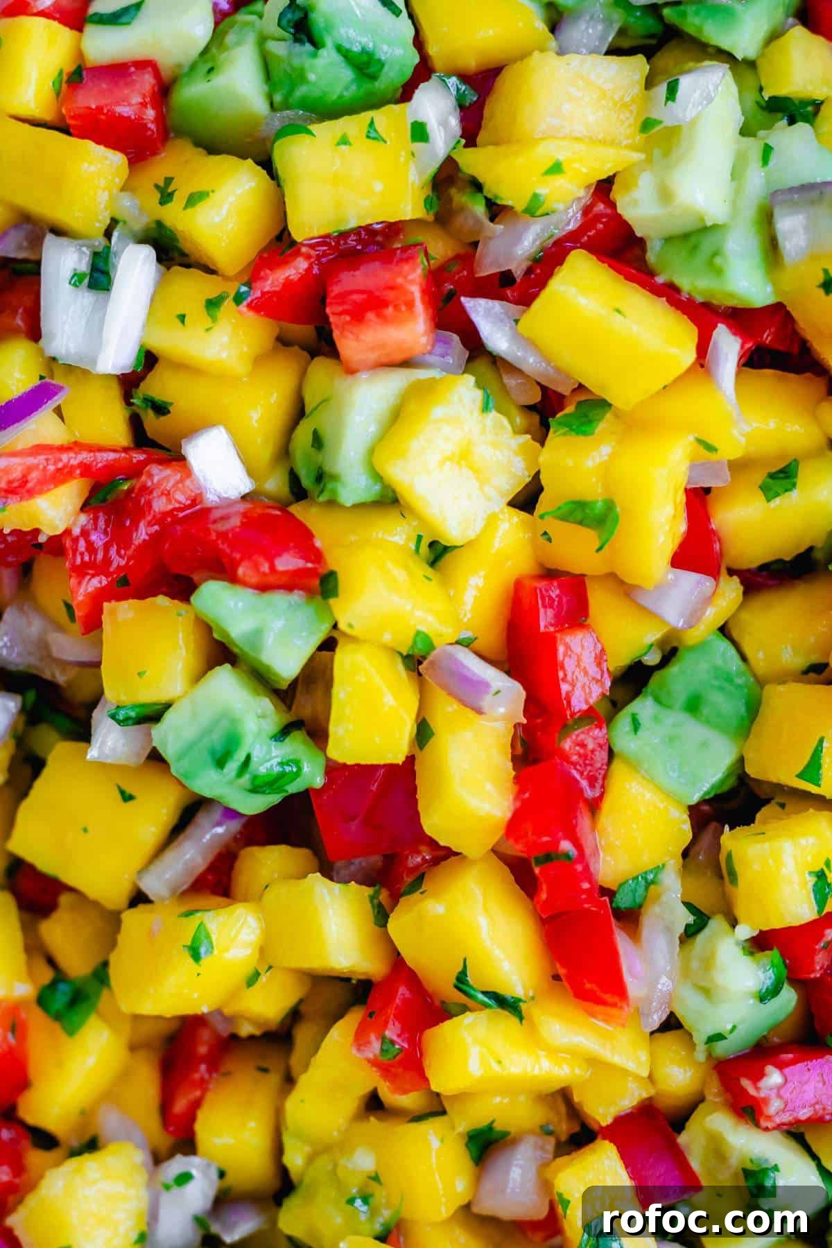 Diced mangoes, avocados, bell peppers, and onions for salsa, up close.